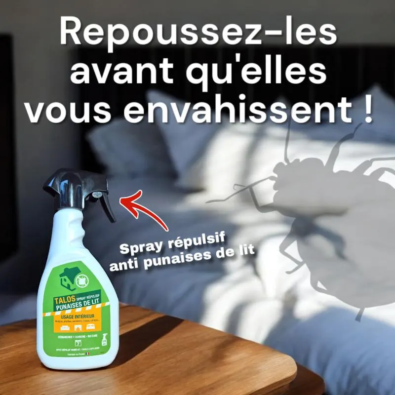 Répulsif préventif anti-punaises